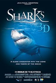 Sharks Sharks