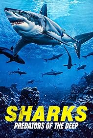 Sharks: Sharks: