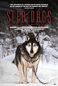 Sled Sled