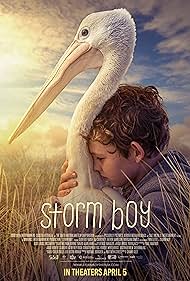 Storm Storm
