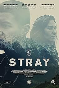 Stray Stray