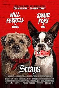 Strays Strays