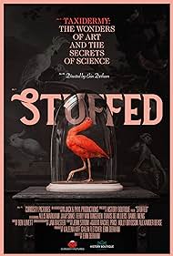 Stuffed Stuffed