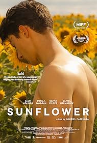 Sunflower Sunflower