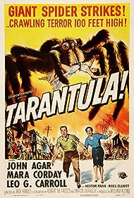 Tarantula Tarantula