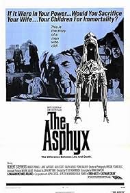 The The