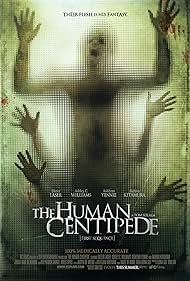 The The