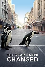The