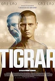 Tigers Tigers