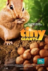 Tiny