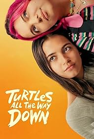 Turtles Turtles