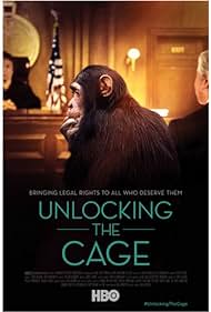 Unlocking Unlocking