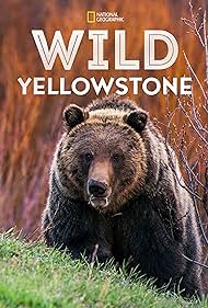 Wild Wild