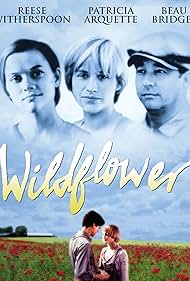 Wildflower Wildflower