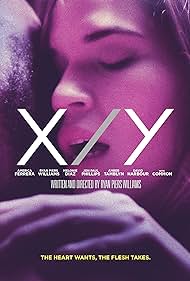 X/Y X/Y