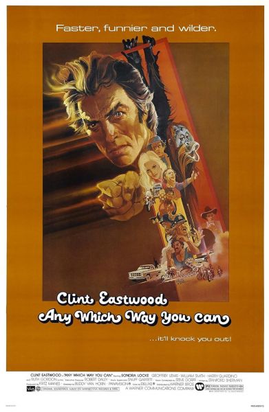 Any Which Way You Can (1980)
