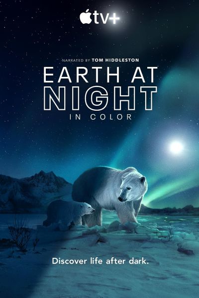 Earth at Night in Color (2020)