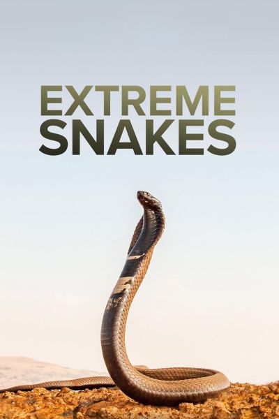 Extreme Snakes (2023)