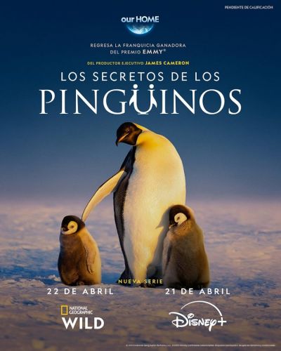 Secrets of the Penguins (2025)