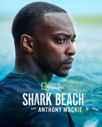 Shark Beach with Anthony Mackie (2024)
