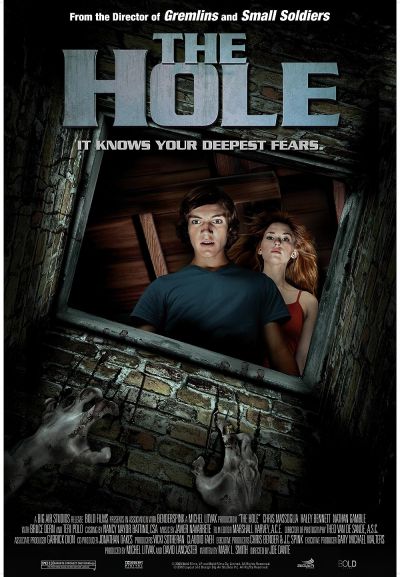 The Hole (2010)