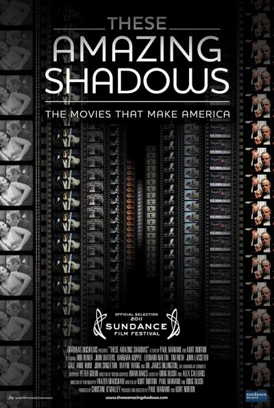 These Amazing Shadows (2011)